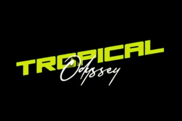 Untitled design (28)